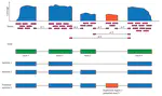 recount workflow: Accessing over 70,000 human RNA-seq samples with Bioconductor [version 1; referees: 1 approved, 2 approved with reservations]