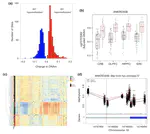 Integrated DNA methylation and gene expression profiling across multiple brain regions implicate novel genes in Alzheimer's disease