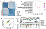 Divergent neuronal DNA methylation patterns across human cortical development reveal critical periods and a unique role of CpH methylation