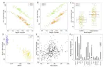 Genome-wide sequencing-based identification of methylation quantitative trait loci and their role in schizophrenia risk