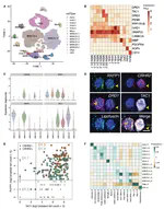 Single-nucleus transcriptome analysis reveals cell-type-specific molecular signatures across reward circuitry in the human brain