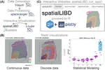 spatialLIBD: an R/Bioconductor package to visualize spatially-resolved transcriptomics data