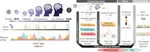 Systems biology dissection of PTSD and MDD across brain regions, cell types, and blood