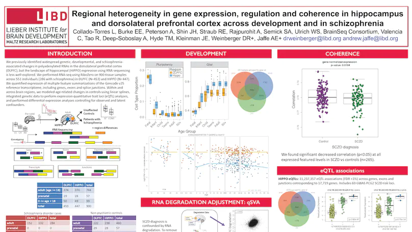 Regional heterogeneity in gene expression, regulation and coherence in hippocampus and dorsolateral prefrontal cortex across development and in schizophrenia