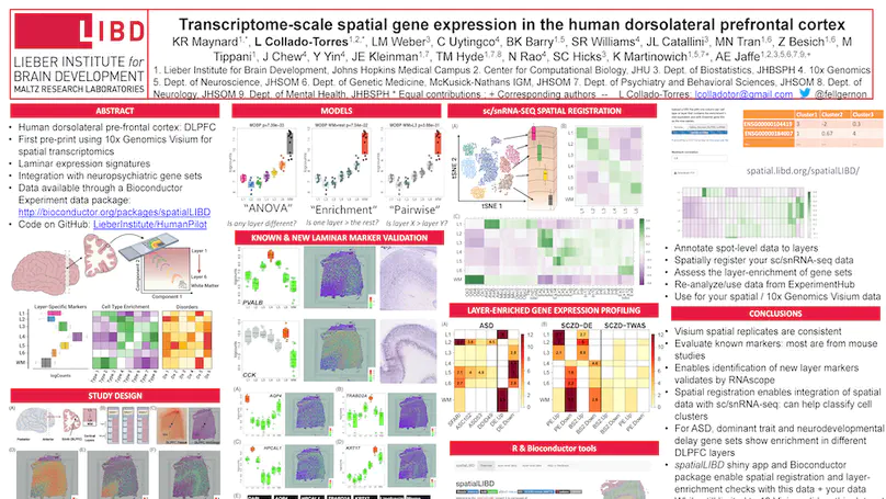 Transcriptome-scale spatial gene expression in the human dorsolateral prefrontal cortex