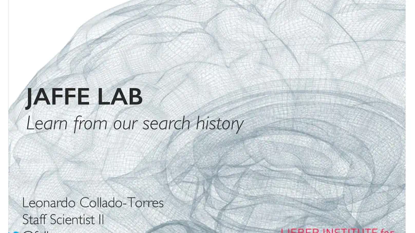 Jaffelab: learn from our search history