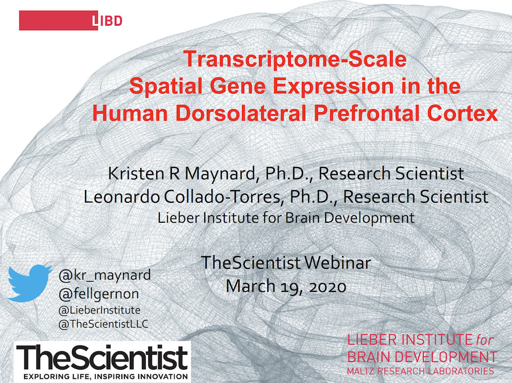 Transcriptome Scale Spatial Gene Expression In The Human Dorsolateral