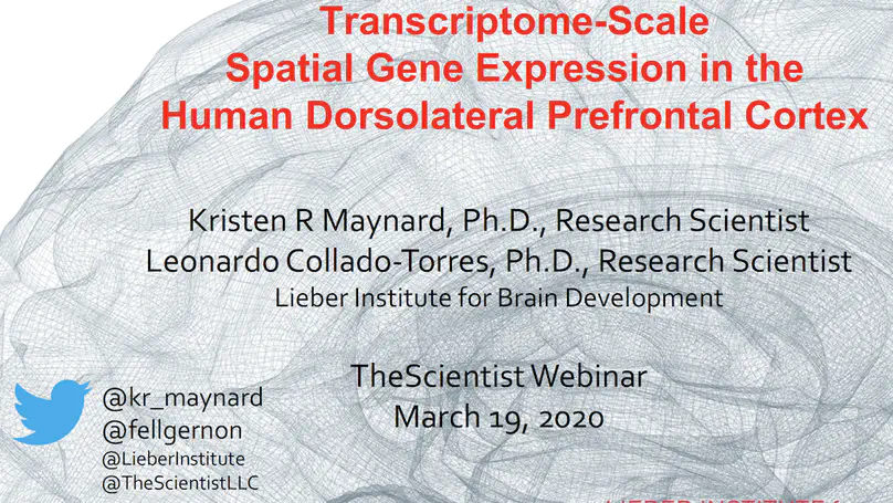 Transcriptome-Scale Spatial Gene Expression in the Human Dorsolateral Prefrontal Cortex