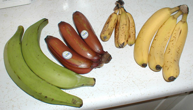 Banana varieties