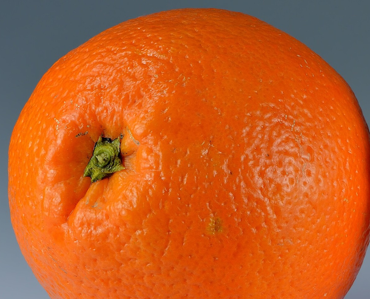 Orange (full round)