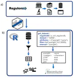 Programmatic access to bacterial regulatory networks with regutools