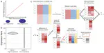 Data-driven identification of total RNA expression genes for estimation of RNA abundance in heterogeneous cell types highlighted in brain tissue