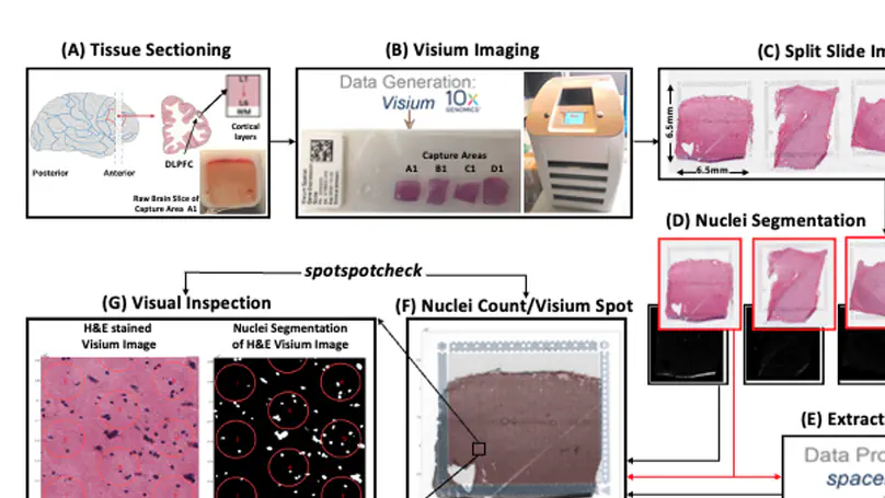 VistoSeg: Processing utilities for high-resolution images for spatially resolved transcriptomics data