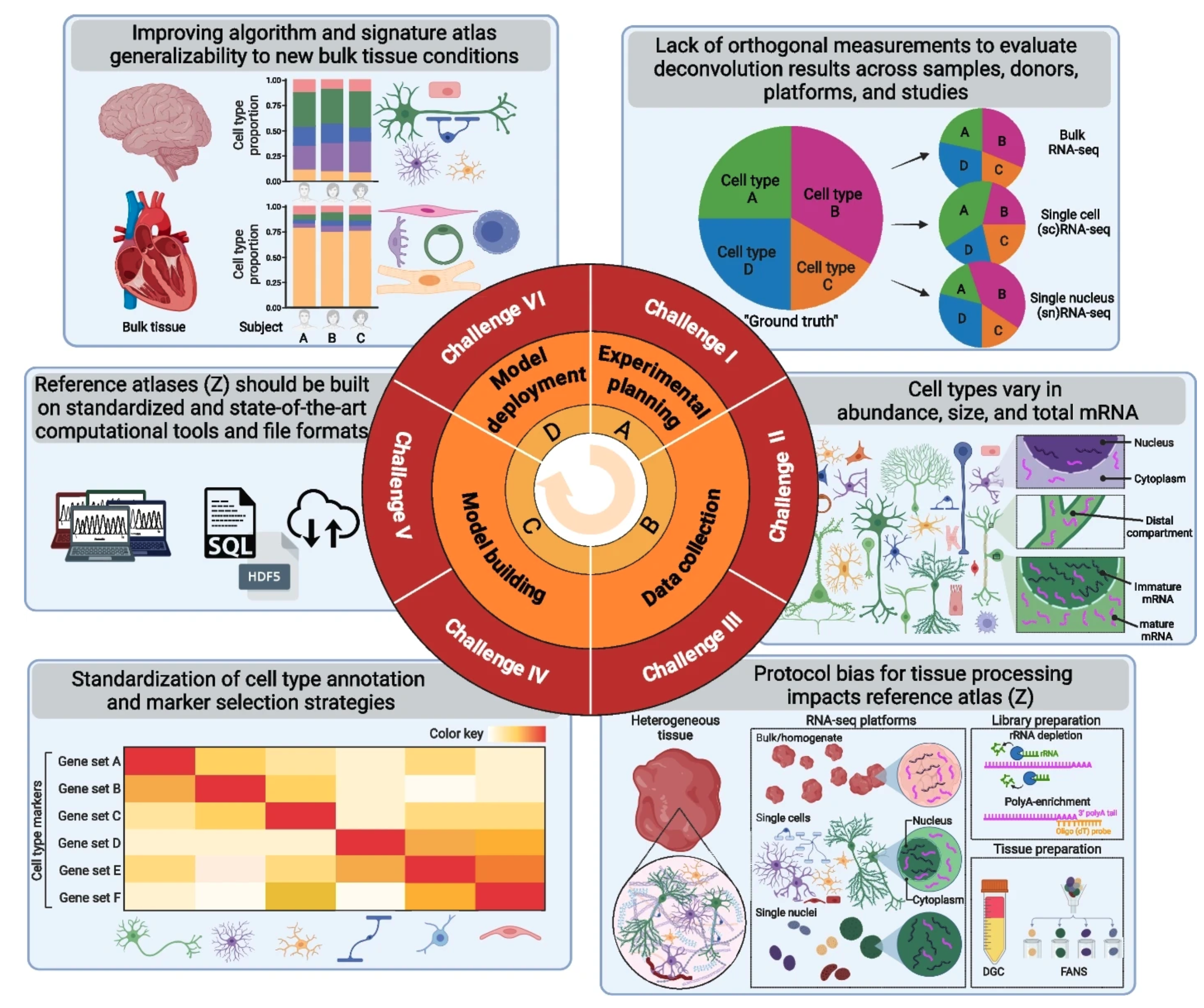 Single Cell Heterogeneous Challenges and opportunities to computationally deconvolve ...