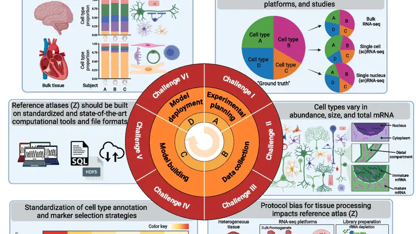Challenges and opportunities to computationally deconvolve heterogeneous tissue with varying cell sizes using single-cell RNA-sequencing datasets
