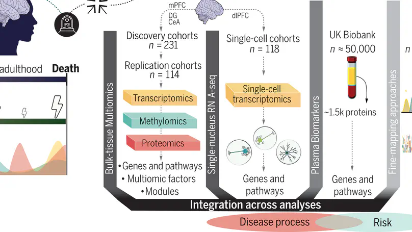 Systems biology dissection of PTSD and MDD across brain regions, cell types, and blood