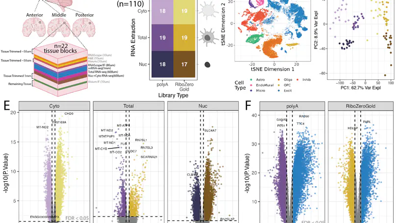 Benchmark of cellular deconvolution methods using a multi-assay dataset from postmortem human prefrontal cortex