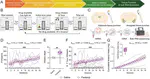Transcriptional Response to Chronic Long-Access Fentanyl Self-Administration in Rat Habenula and Amygdala