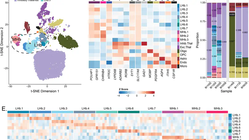 Transcriptomic analysis of the human habenula in schizophrenia