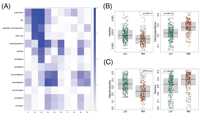 Comparison of gene expression in living and postmortem human brain