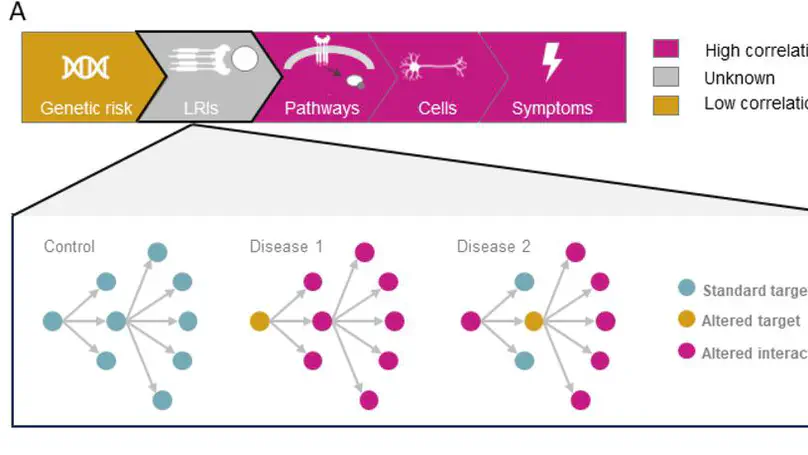 Network nature of ligand-receptor interactions underlies disease comorbidity in the brain