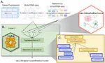 lute: estimating the cell composition of heterogeneous tissue with varying cell sizes using gene expression