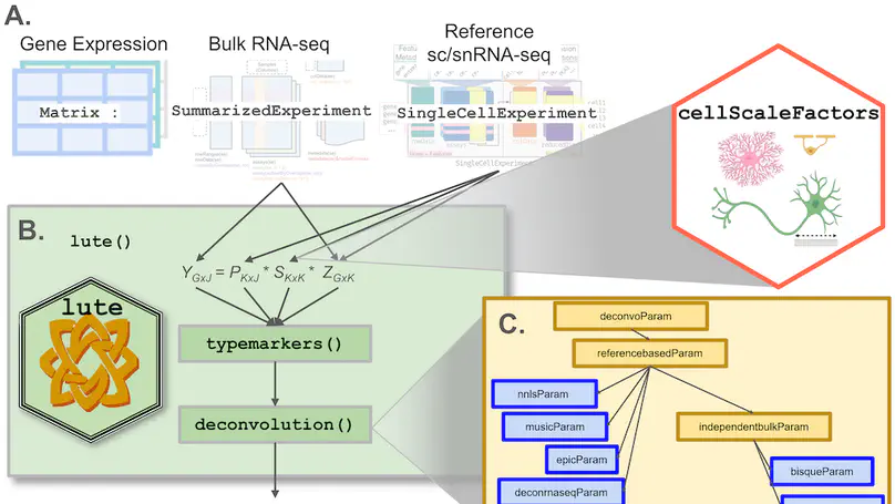 lute: estimating the cell composition of heterogeneous tissue with varying cell sizes using gene expression