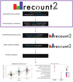 recount-brain: a curated repository of human brain RNA-seq datasets metadata