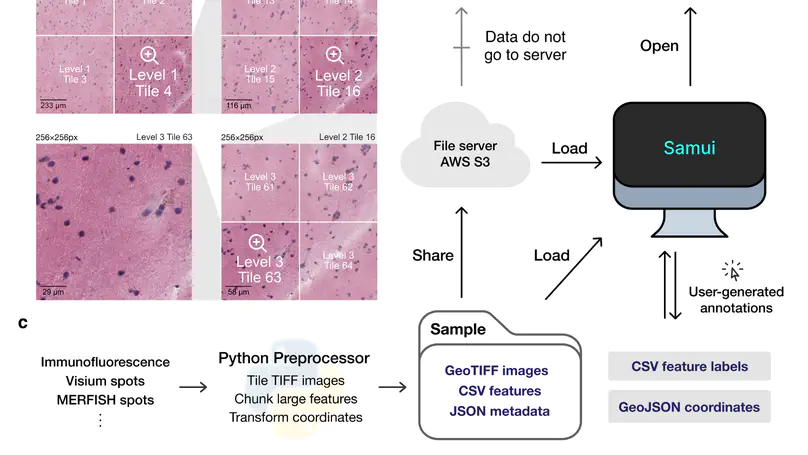 Performant web-based interactive visualization tool for spatially-resolved transcriptomics experiments