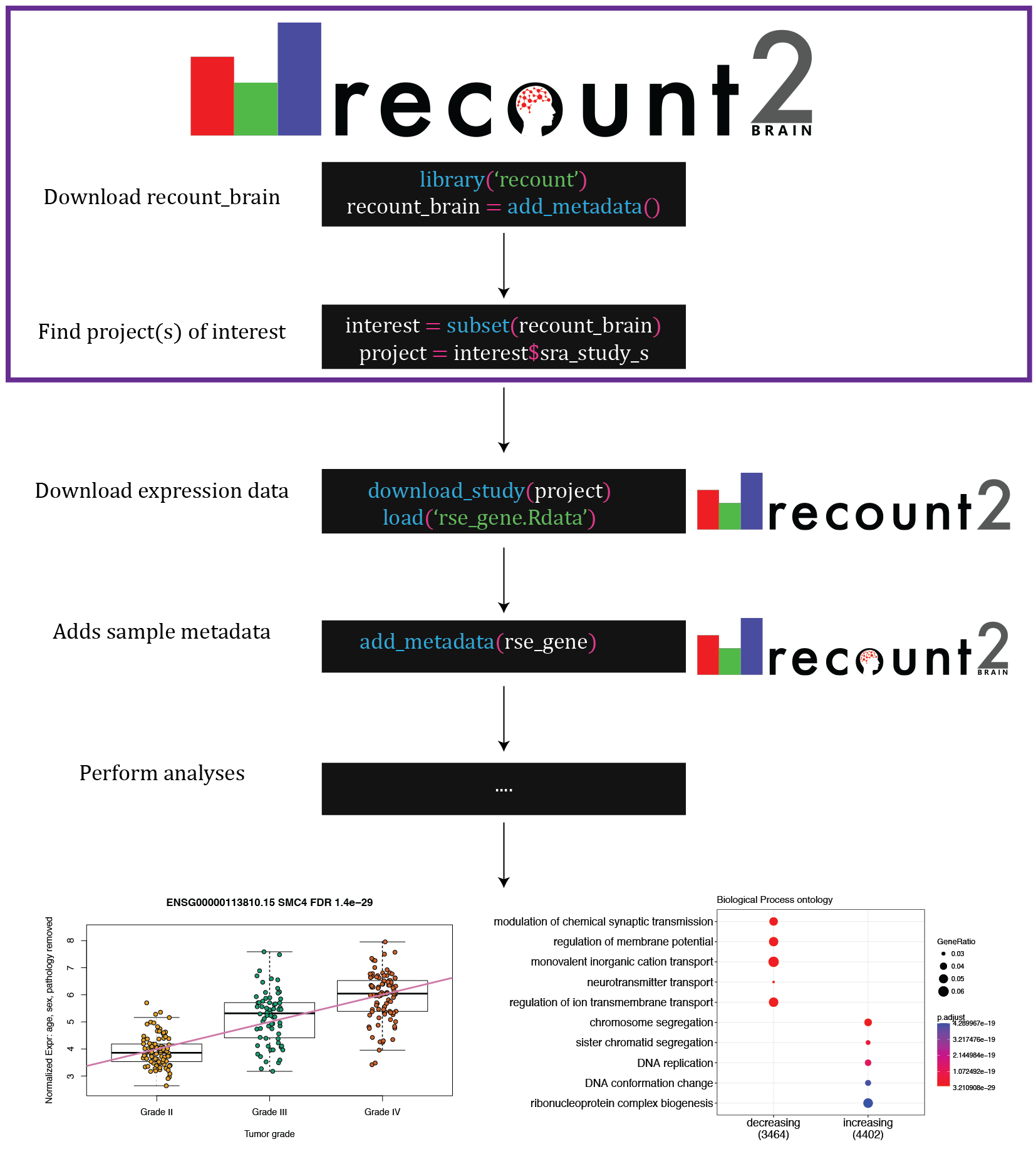 Access recount-brain using the recount Bioconductor package