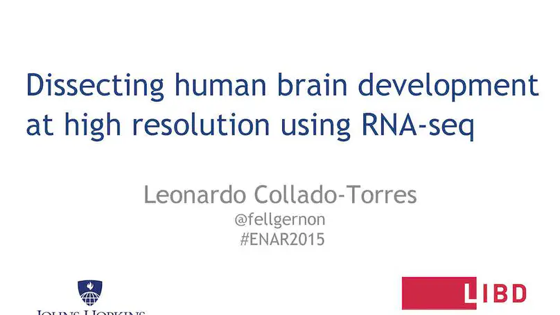 Dissecting human brain development at high resolution using RNA-seq