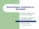 Bacteriófagos: analizando su diversidad