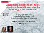 Applications, limitations, and future directions of spatial transcriptomics technology in the human brain