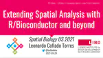 Extending Spatial Analysis with R/Bioconductor and beyond